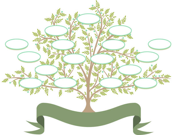 ilustrações, clipart, desenhos animados e ícones de family árvore - árvore genealógica