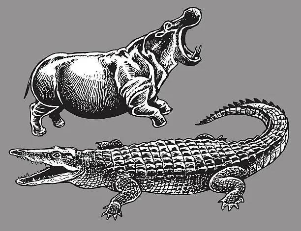 Vector illustration of African Animals - Hippopotamus, Crocodile