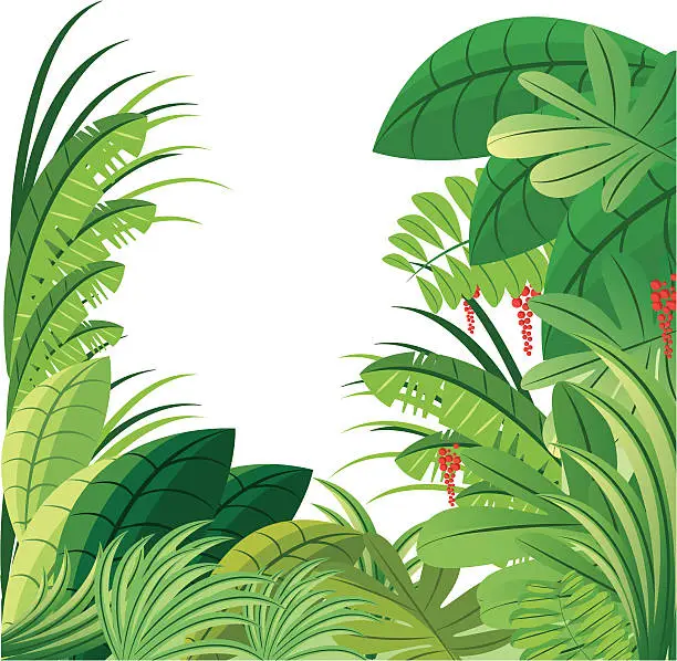 Vector illustration of Tropical forest