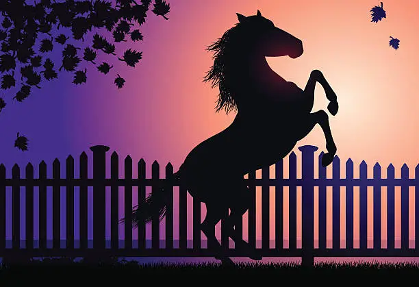 Vector illustration of Rearing Horse in Autumn Sunset