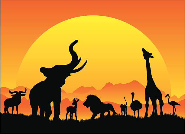 ilustrações, clipart, desenhos animados e ícones de safári africano silhouetes em preto com sol - animal de safari