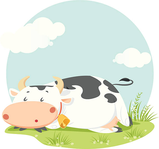 Cow Cow sleeping sleeping cow stock illustrations