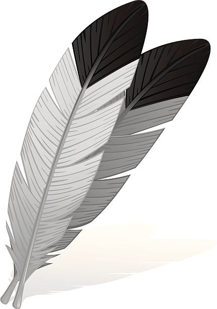 illustrations, cliparts, dessins animés et icônes de eagle plumes. - eagle feather