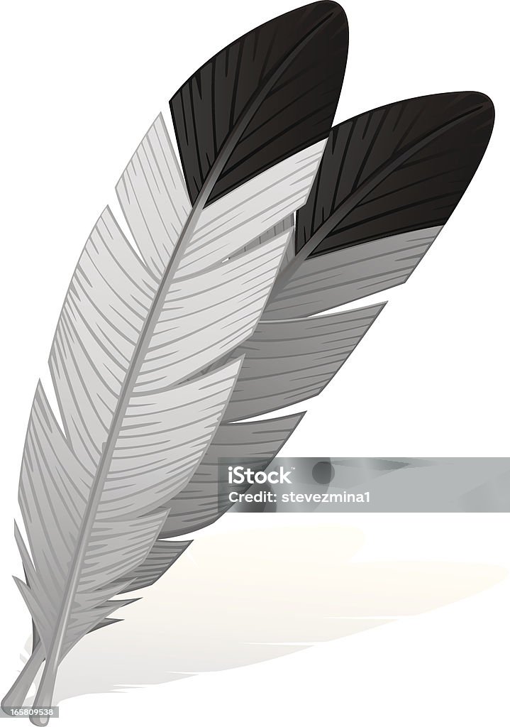 Eagle piume - arte vettoriale royalty-free di Piuma