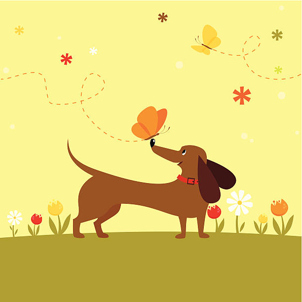 Cão com borboleta - ilustração de arte em vetor