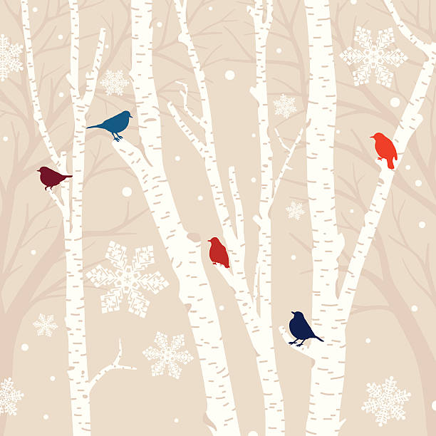 Winter Birds Background Winter birds and birch trees. bare tree snow tree winter stock illustrations