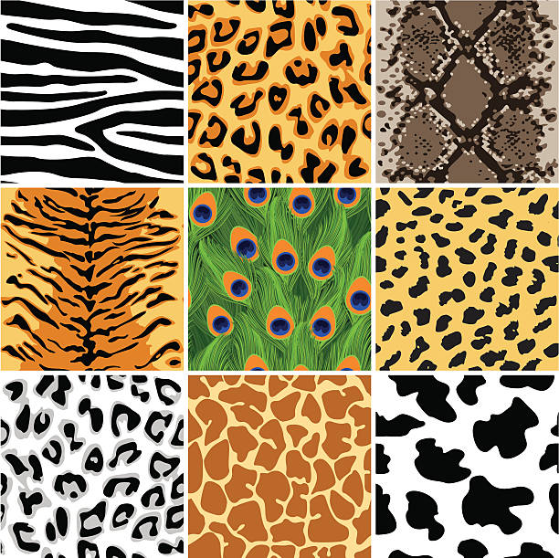 illustrazioni stock, clip art, cartoni animati e icone di tendenza di animale seamless pattern set - animal color