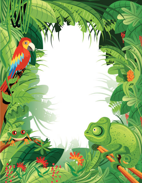 wilgotny las równikowy - animal animal themes tropical rainforest cartoon stock illustrations