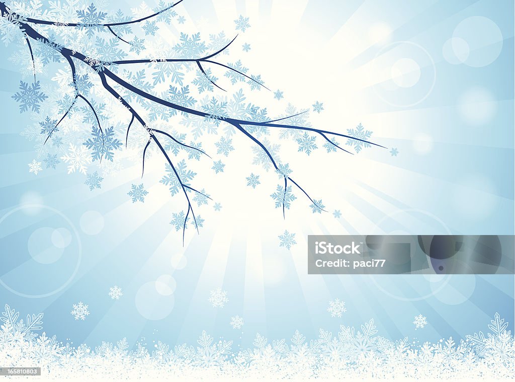 Winter Branch Winter branch with snowflakes. Backgrounds stock vector