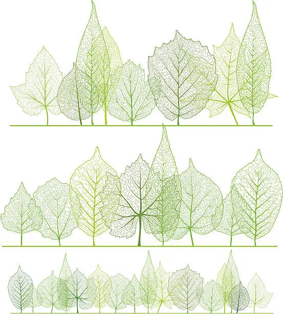 Vector illustration of Spring forest
