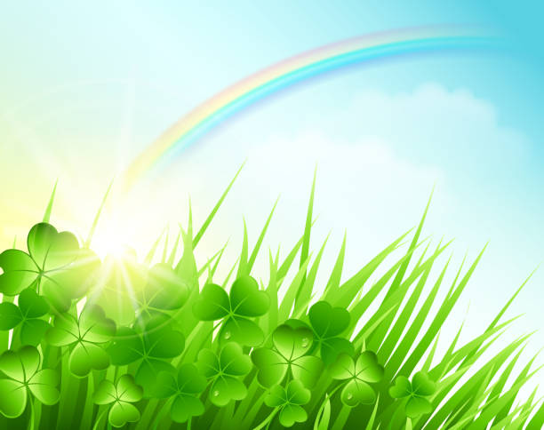 ilustraciones, imágenes clip art, dibujos animados e iconos de stock de st. patrick's day background - st patricks day clover four leaf clover irish culture