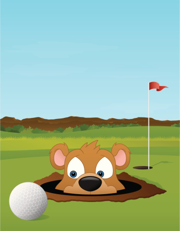 Well, you can always blame that missed putt on a gopher hole!