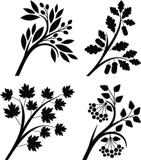 Vector illustration of Branches