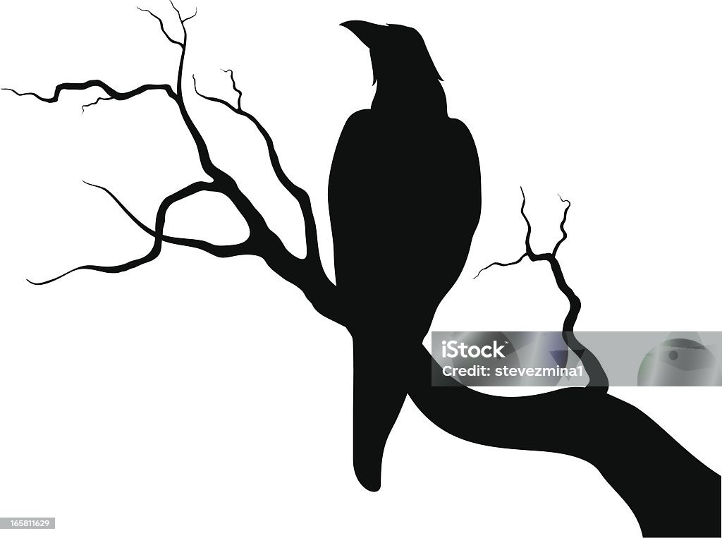 Crow on a branch Raven - Bird stock vector