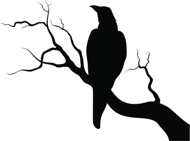 Vector illustration of Crow on a branch