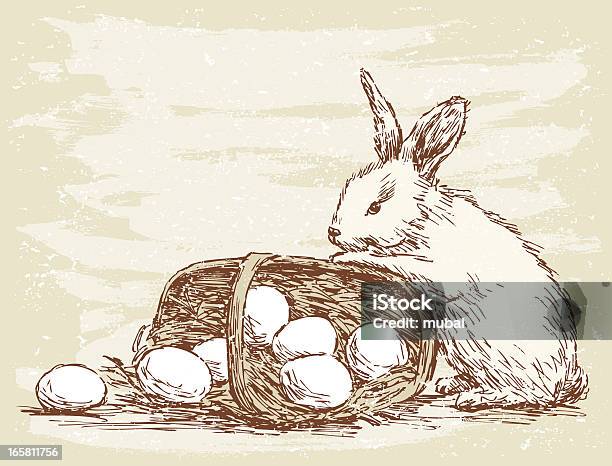 Rabbit バスケット - イースターエッグのベクターアート素材や画像を多数ご用意 - イースターエッグ, スケッチ, イラストレーション