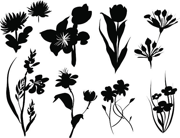 Vector Floral Silhouette icons set vector art illustration