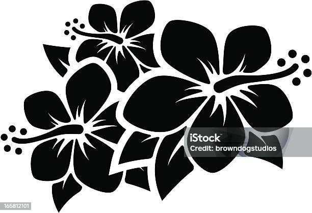 Hibiscus Flowers Stock Illustration - Download Image Now - Flower, Hawaiian Culture, Hibiscus