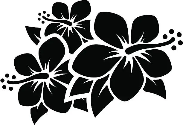 Vector illustration of Hibiscus Flowers