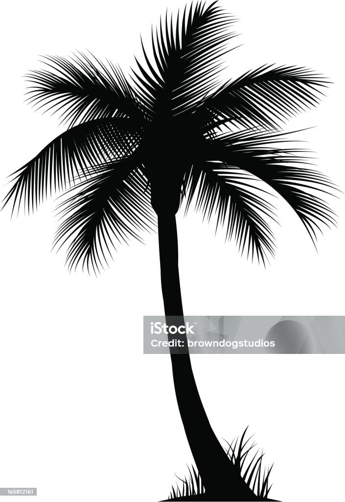 Palm Tree - clipart vectoriel de Arbre libre de droits