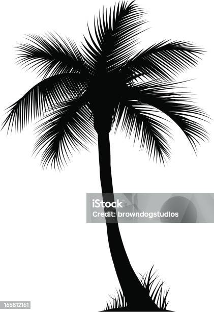 Palm Tree Vecteurs libres de droits et plus d'images vectorielles de Arbre - Arbre, Flore, Illustration