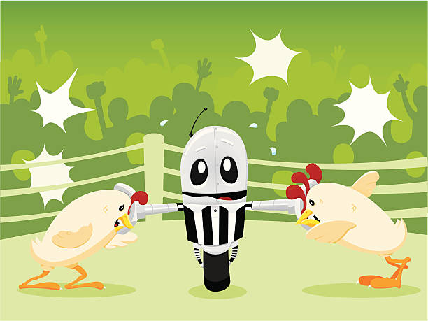 Mechanically Separated Chickens Two vicious chickens ready to fight are held at bay by a nervous robot referee as an excited crowd looks on. scared chicken cartoon stock illustrations