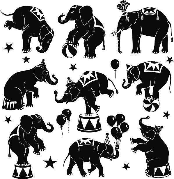 illustrazioni stock, clip art, cartoni animati e icone di tendenza di circus elefanti - animal act