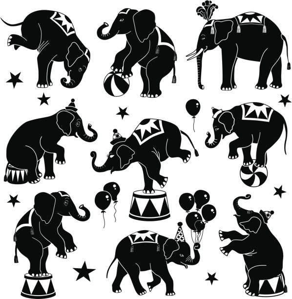 circus elephants Vector circus elephants in different poses. headstand stock illustrations