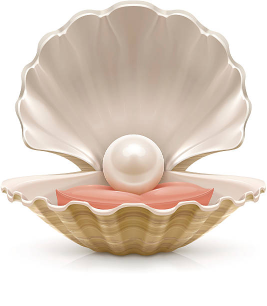 Pearl – artystyczna grafika wektorowa