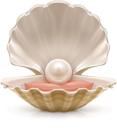 Vector illustration of a sea shell with a pearl inside.