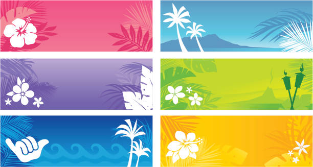 ilustraciones, imágenes clip art, dibujos animados e iconos de stock de hawaiian banners - hawaii islands illustrations