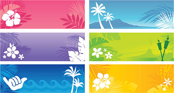 ilustrações, clipart, desenhos animados e ícones de hawaiian banners - hawaiian culture hibiscus print pattern