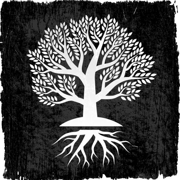 illustrazioni stock, clip art, cartoni animati e icone di tendenza di albero con radici su sfondo nero vettoriali royalty-free - origins oak tree growth plant