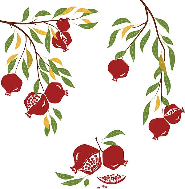 Vector illustration of An illustration of a pomegranate tree