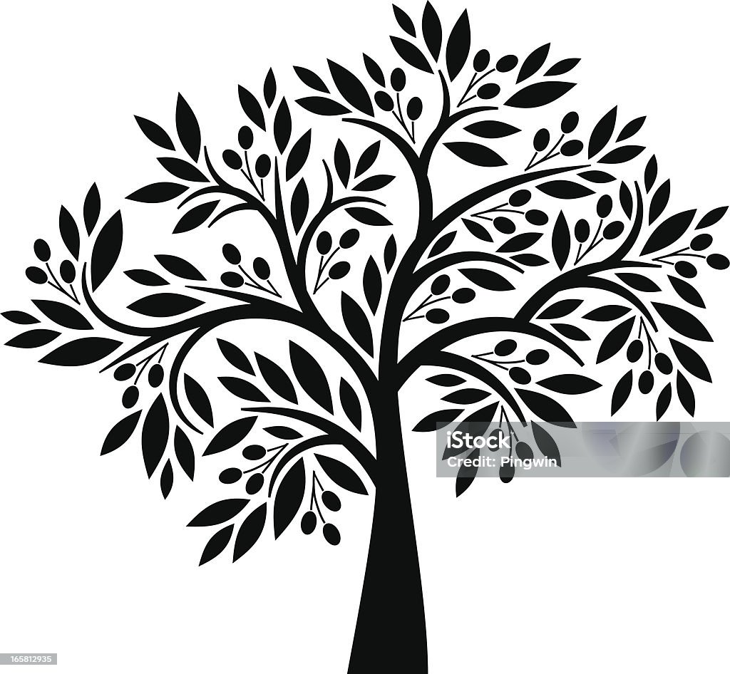 Olive tree Decorative olive tree with berries and leaves  Tree stock vector