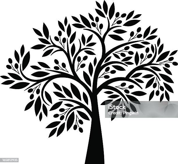 Olive Tree Stock Illustration - Download Image Now - Tree, Olive Tree, Olive - Fruit