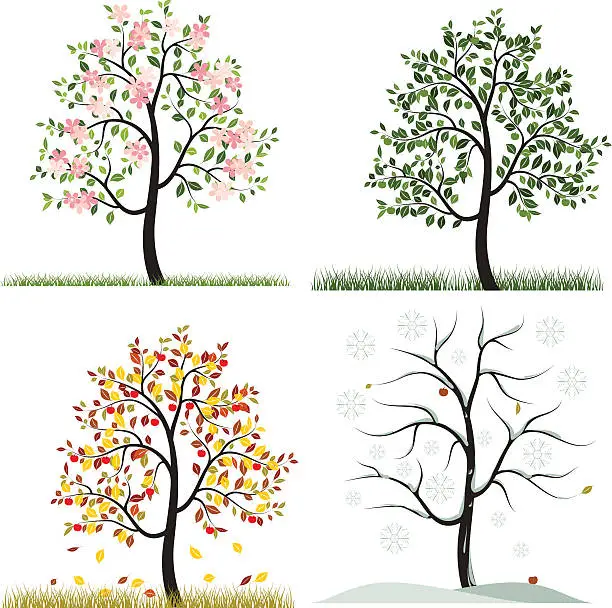 Vector illustration of Seasons