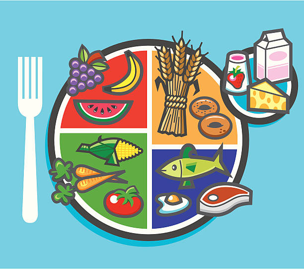 my plate food pie chart illustration of a my plate food pie chart health symbols/metaphors stock illustrations