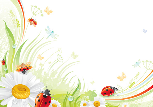 Butterfly background with beautiful swirls, leafs, blue dragonflies and copyspace. Red ladybugs and daisy. 