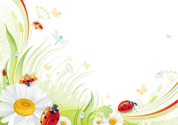 Vector illustration of Butterfly background with copyspace: ladybug and daisy