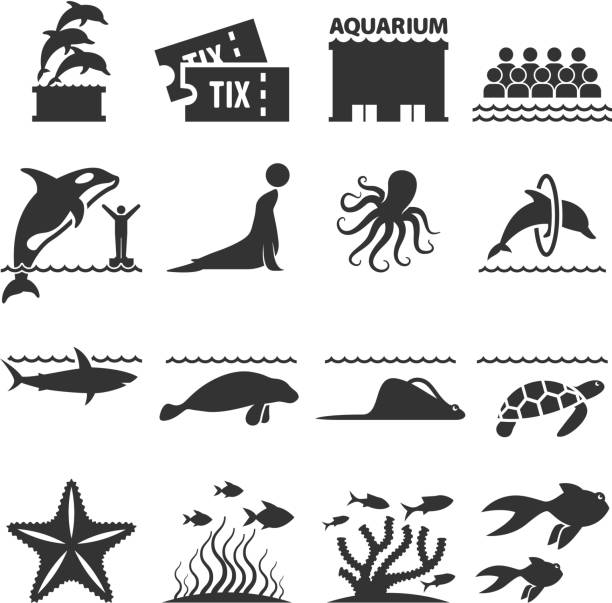 Aquarium Sea Animals black & white vector icon set Aquarium Sea Animals black & white set tiger shark stock illustrations