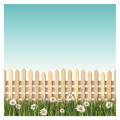 seamless picket fence and daisys background