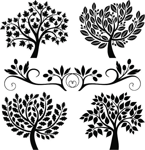 четыре деревьев - maple tree tree silhouette vector stock illustrations