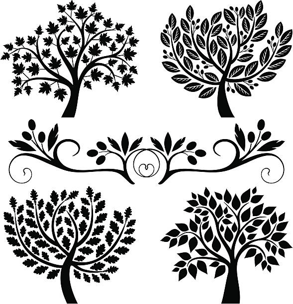 Four trees Decorative trees and olive branch with berries.  maple tree stock illustrations