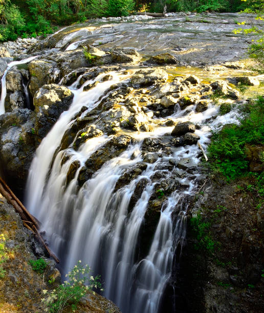 wodospad rzeki anglika - englishman river falls zdjęcia i obrazy z banku zdjęć