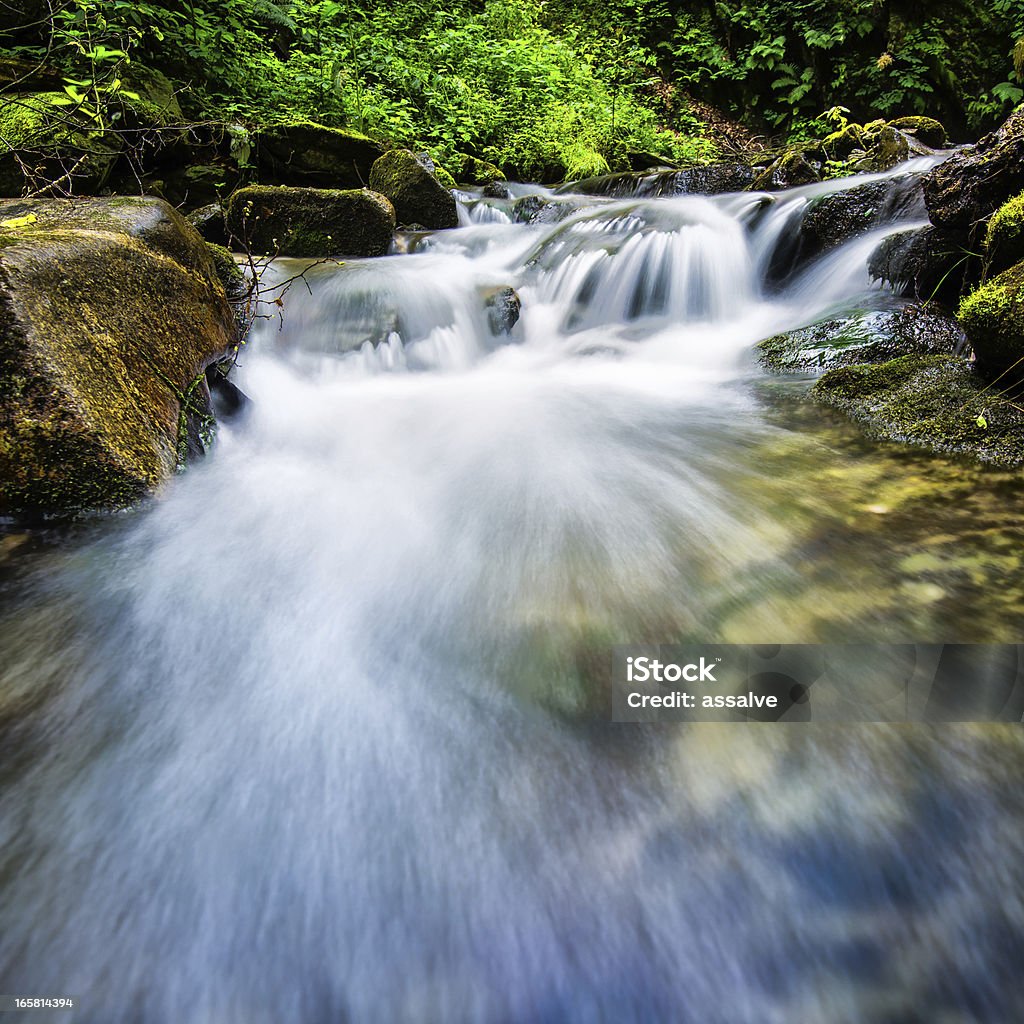 Fließendes Wasser in kleinen Fluss - Lizenzfrei Quellwasser Stock-Foto