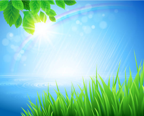 Vivid spring landscape with rainbow appearing in bokeh light EPS 10, RGB. rainy skies stock illustrations