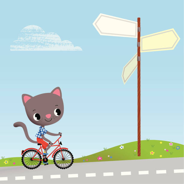 ilustrações, clipart, desenhos animados e ícones de um gatinho e sinal de estrada. - multidirectional