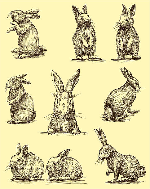Rabbits The vector drawing of a different vintage rabbits. easter silhouettes stock illustrations
