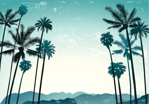Retro grange palm trees on a sky and mountains background.